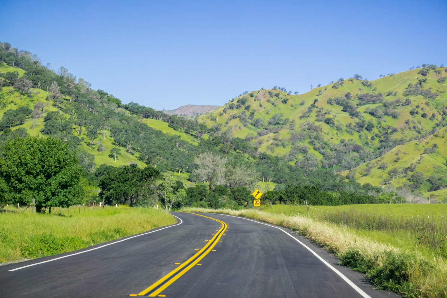 A winding road through the rolling hills of Sonoma, with lush green landscapes, trees, and a road sign indicating a curve ahead.