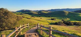 A scenic view of rolling green hills in Sonoma, California, with a wooden fence and a dirt path leading into the landscape.