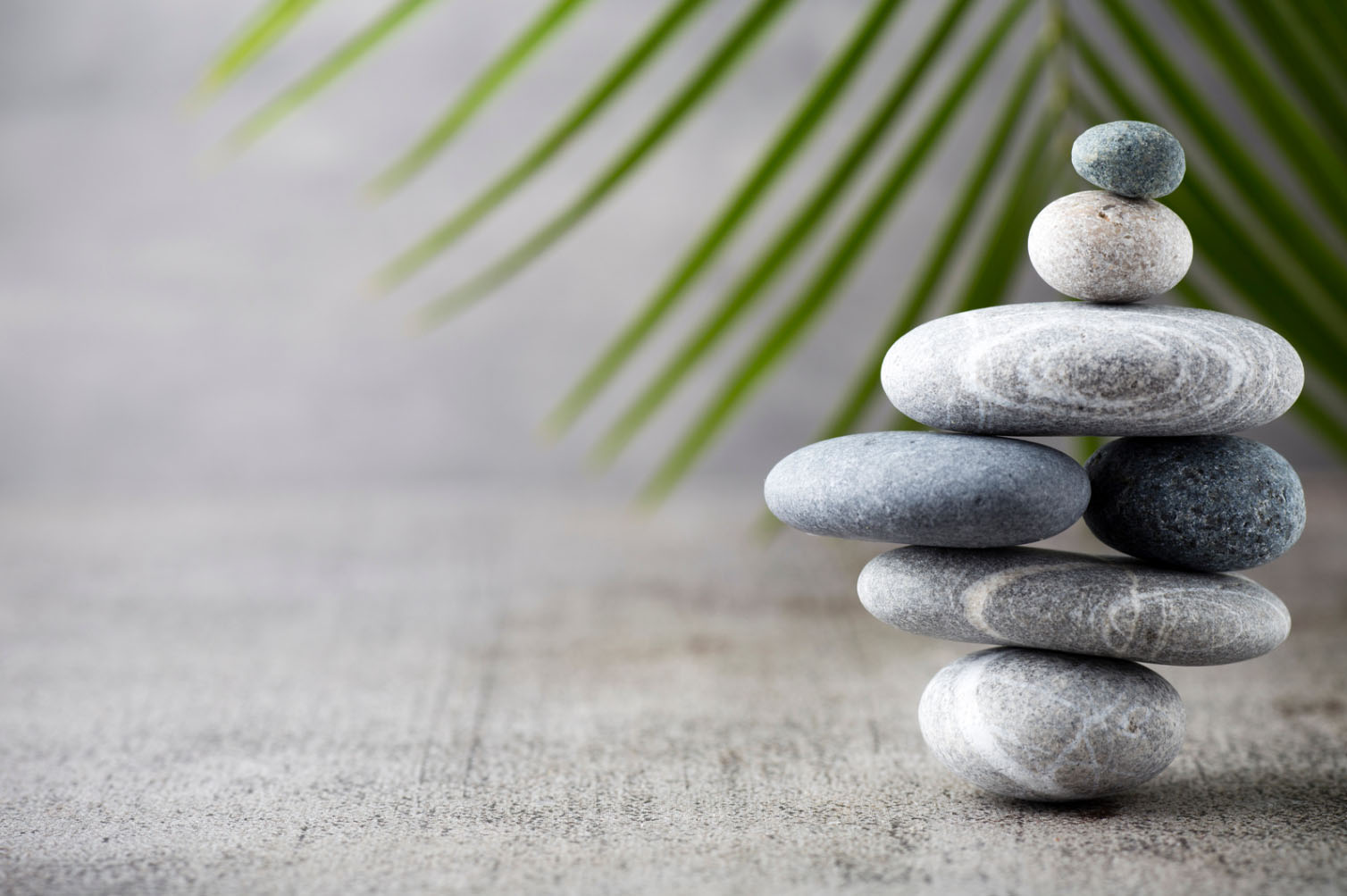 A serene image of stacked stones arranged in a balanced formation, with a blurred green palm leaf in the background.