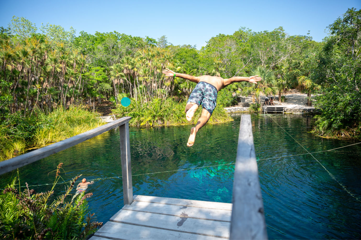 A person diving off a wooden platform into a cenote surrounded by lush greenery in the Riviera Maya, with another person swimming in the water.