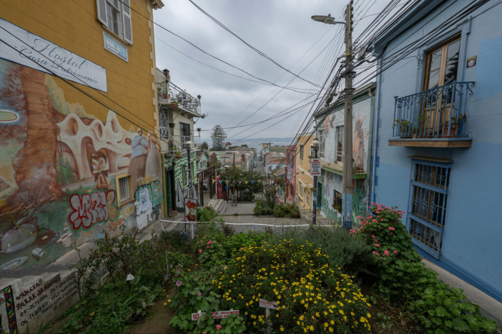 A vibrant street in Valparaíso, Chile, lined with colorful murals on buildings and lush flowers in the foreground, with power lines crossing above and a view of the city in the distance.