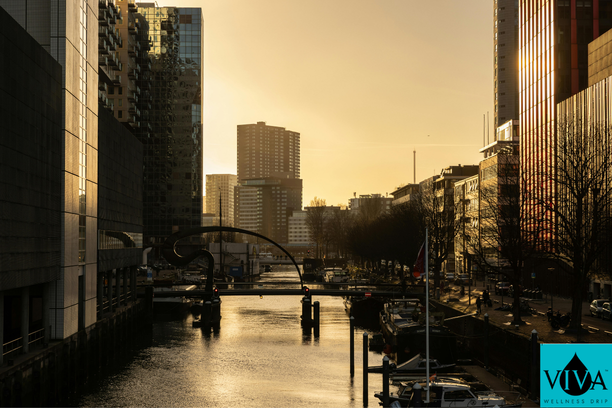 The wellness landscape in the Netherlands is shifting. Gone are the days when optimizing your health required a commute to a clinical setting or waiting in a sterile lounge.