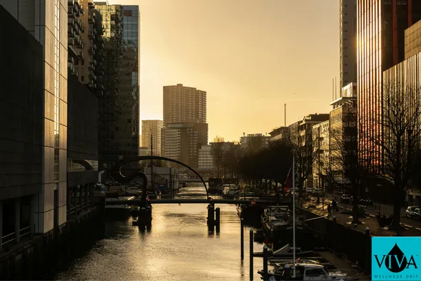 The wellness landscape in the Netherlands is shifting. Gone are the days when optimizing your health required a commute to a clinical setting or waiting in a sterile lounge.