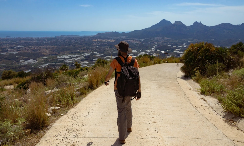 Top IV Formulations for Travelers