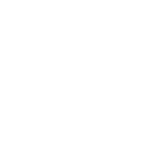 Viva Wellness Drip logo